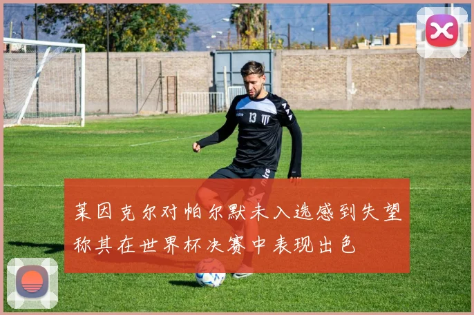 莱因克尔对帕尔默未入选感到失望称其在世界杯决赛中表现出色